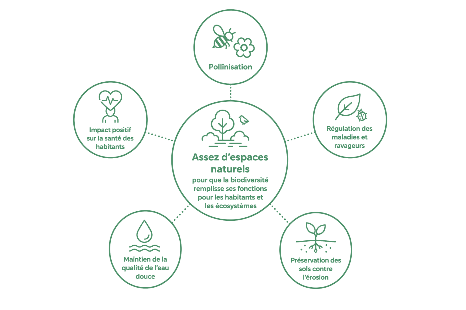 L&rsquo;impact positif de la biodiversité