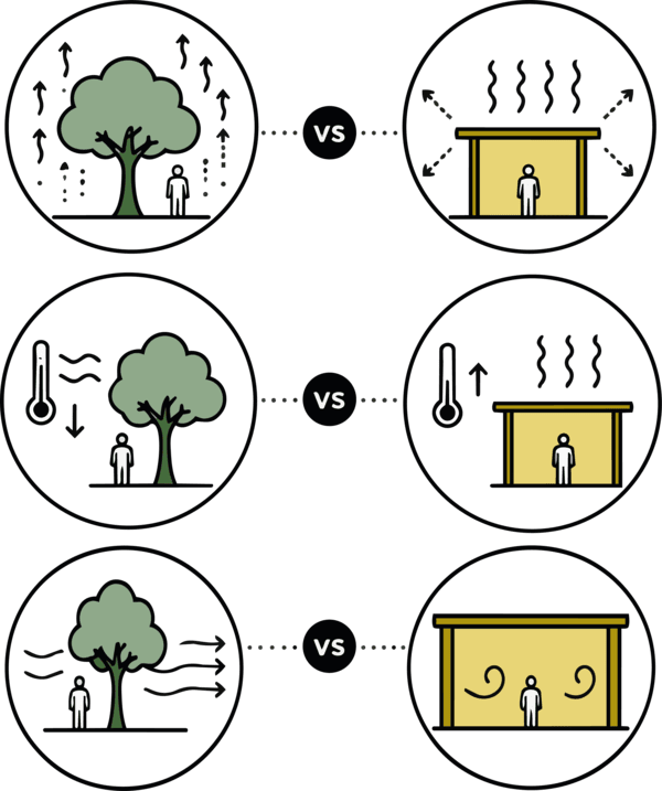 Confort thermique d&rsquo;un arbre vs préau en métal